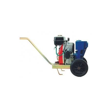 Motopompe autoadescanti per irrigazione CM 80/1A CON CARRELLO CM Motori